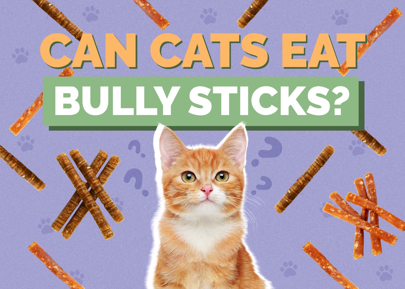 Can Cats Eat bully-sticks