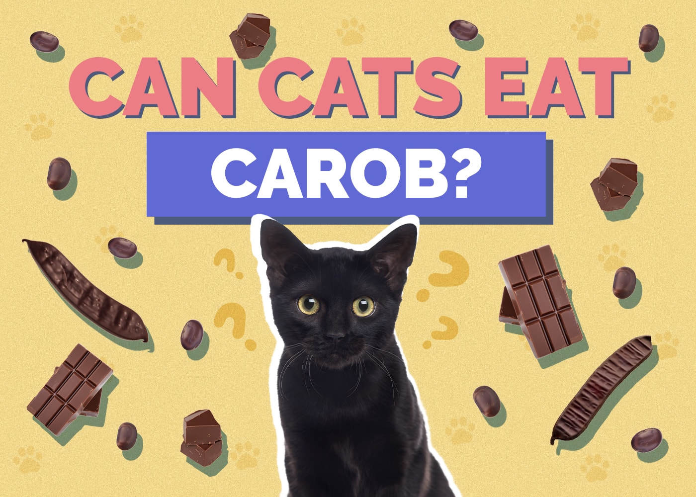 Can Cats Eat carob