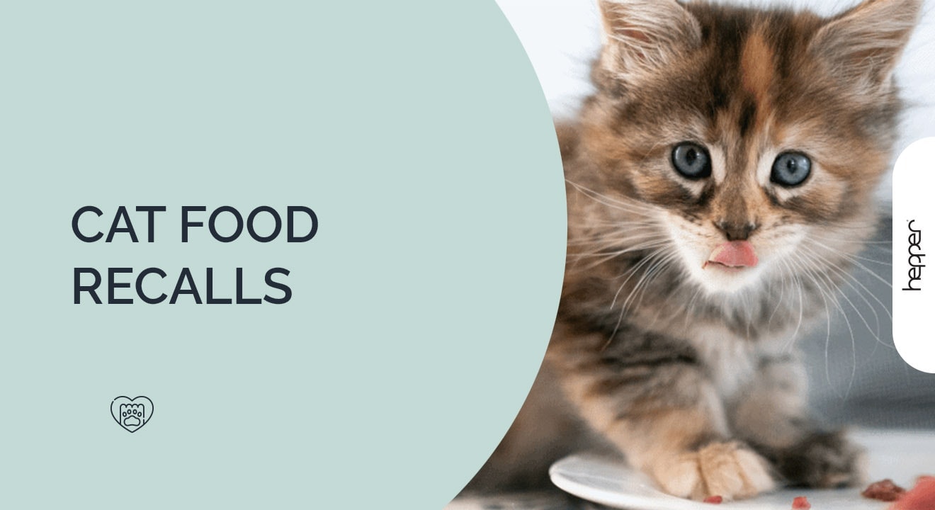 Cat Food Recalls 2023 | See If Your Brand Has Been Recalled!
