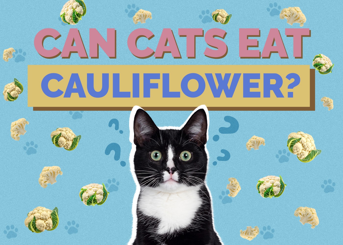 Can Cats Eat cauliflower