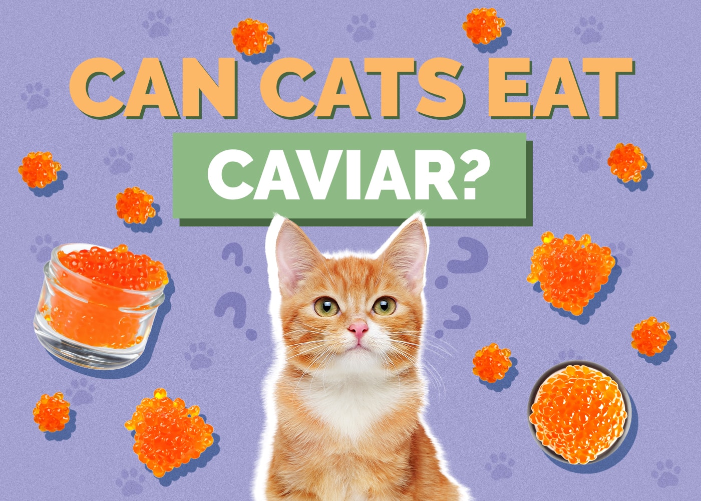 Can Cats Eat caviar