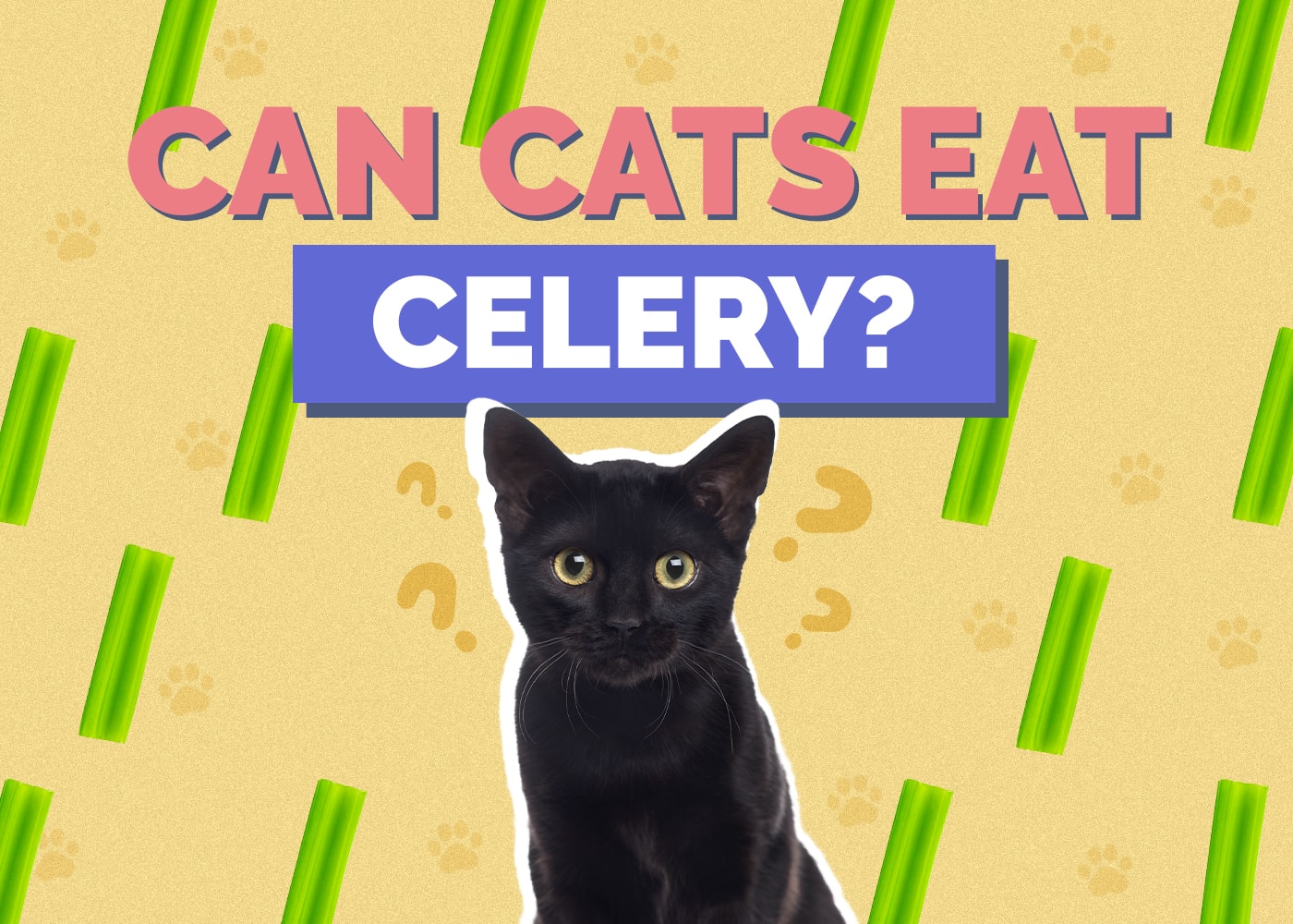Can Cats Eat celery