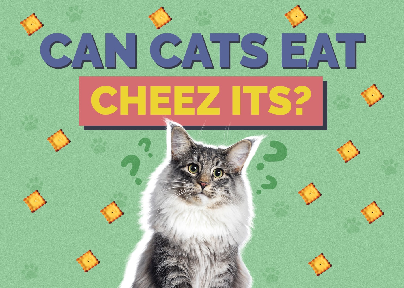 Can Cats Eat cheez-its