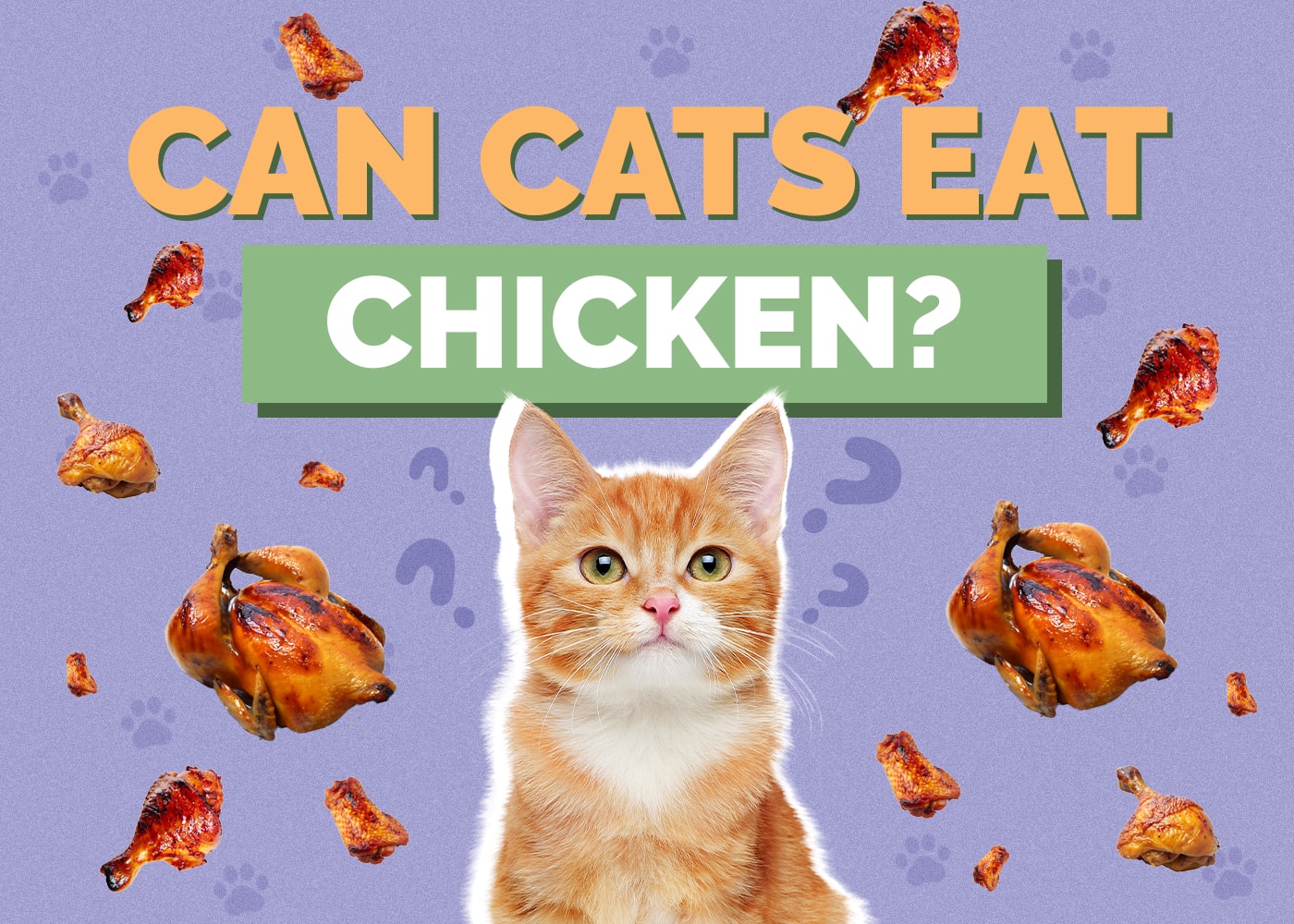 Can Cats Eat chicken