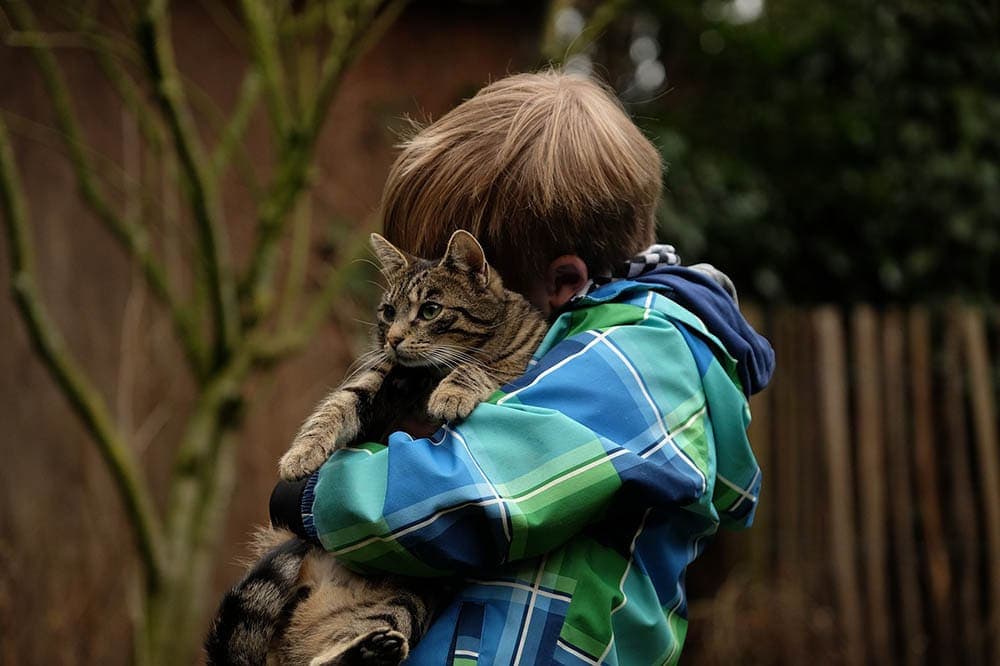 child cuddling a cat