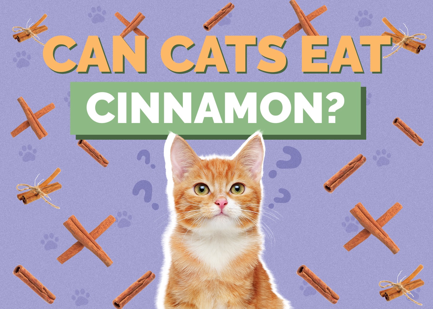 Can Cats Eat cinnamon