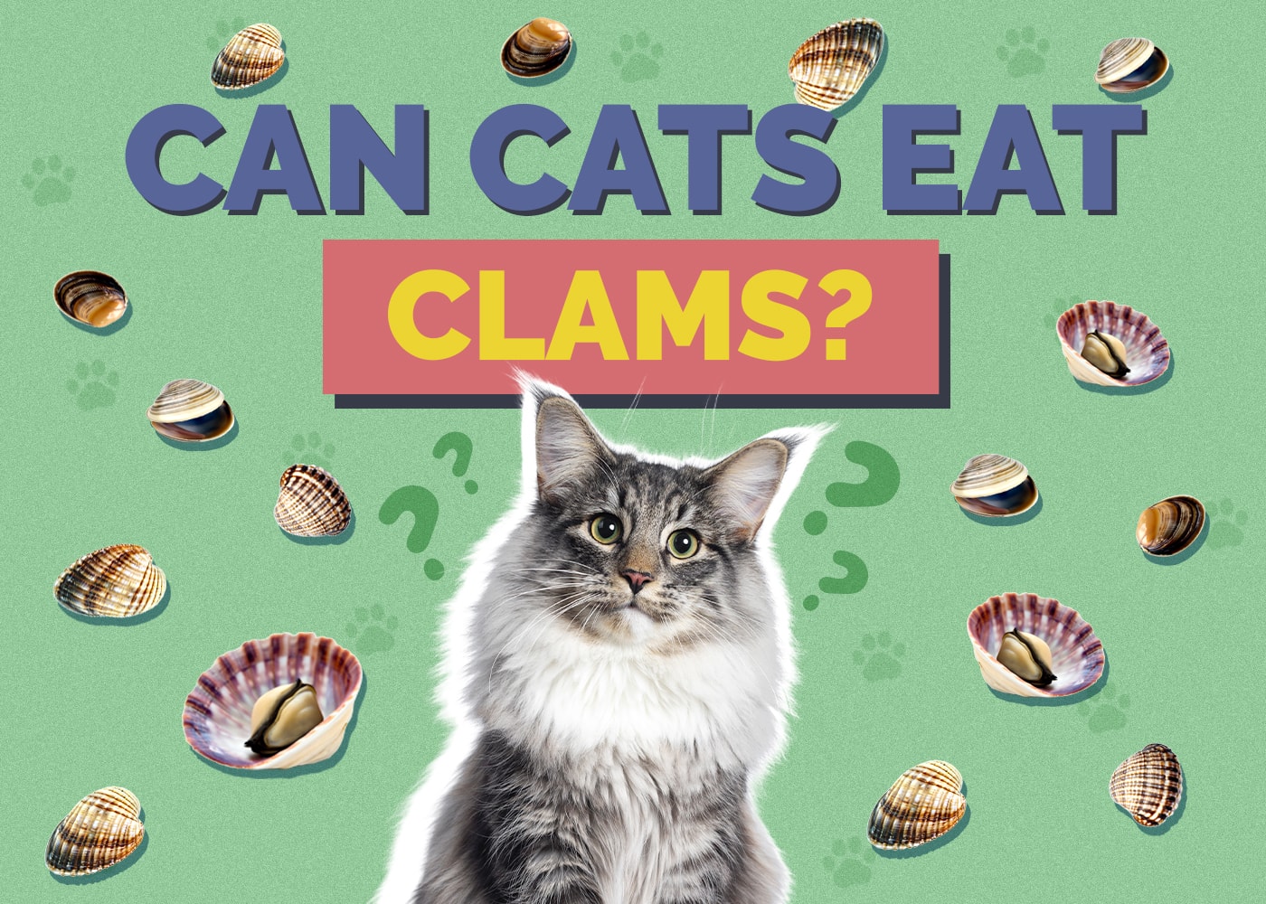 Can Cats Eat clams