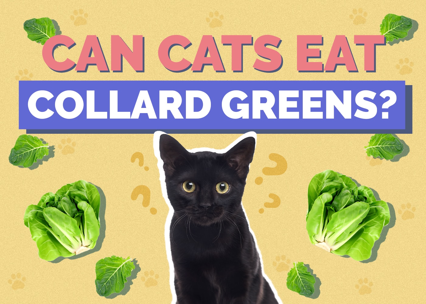 Can Cats Eat collard-greens