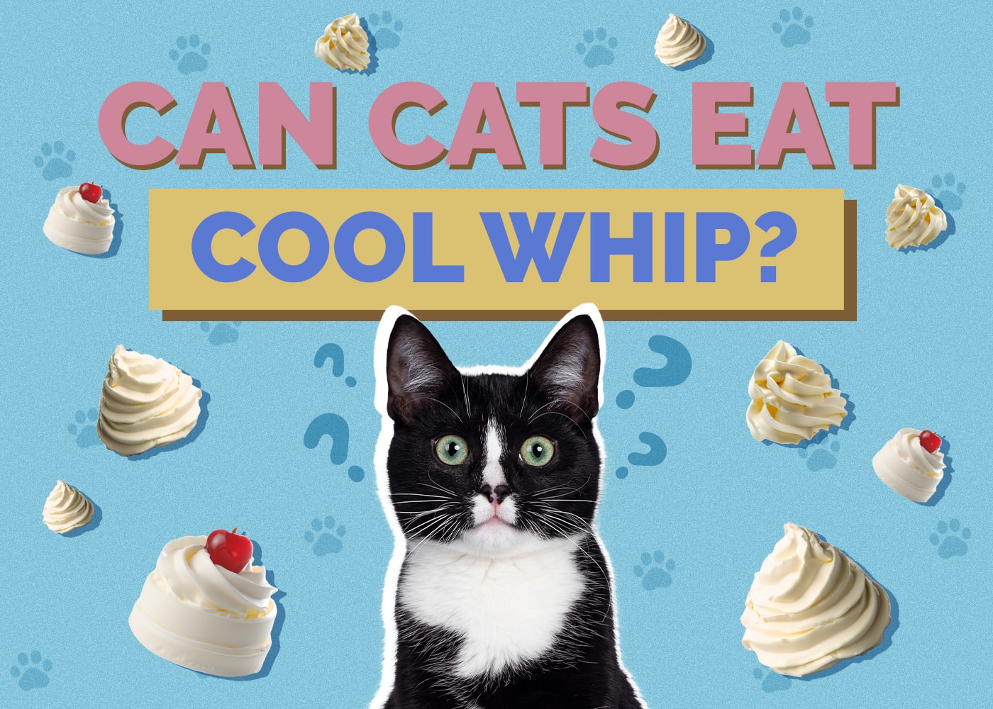 Can Cats Eat cool-whip