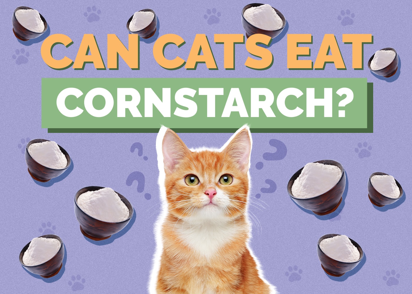 Can Cats Eat cornstarch