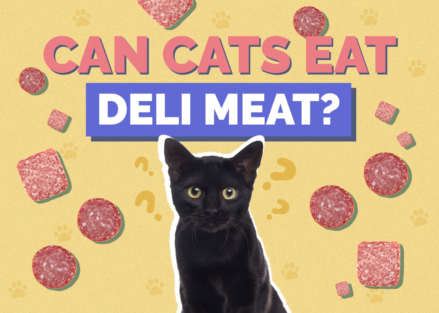 Can Cats Eat deli-meat