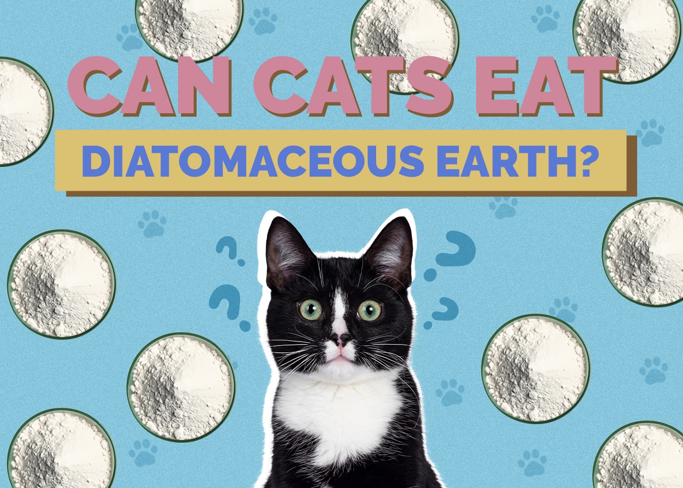 Can Cats Eat diatomaceous-earth