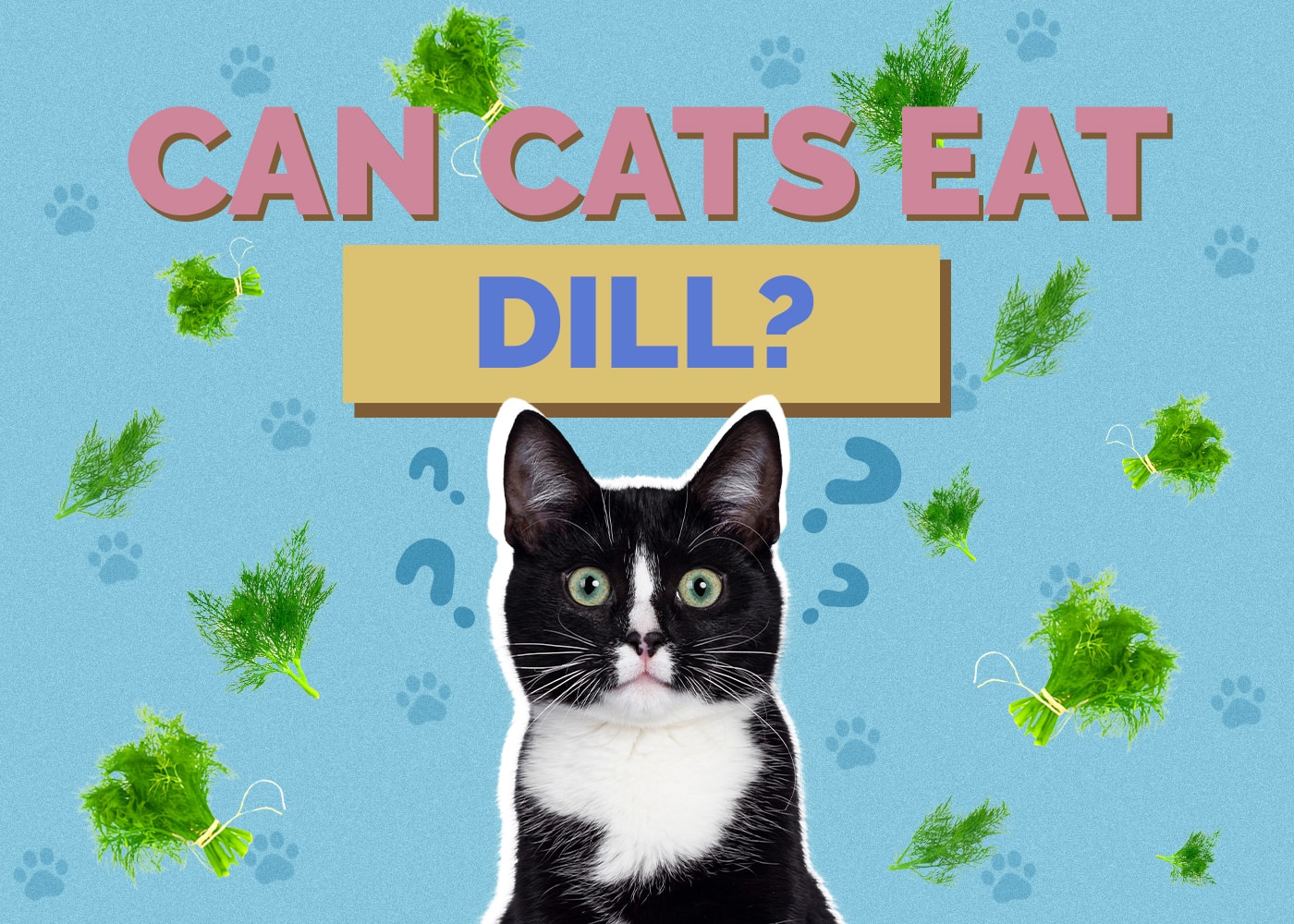 Can Cats Eat dill