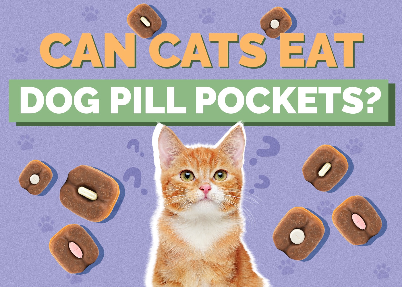 Can Cats Eat dog-pill-pockets