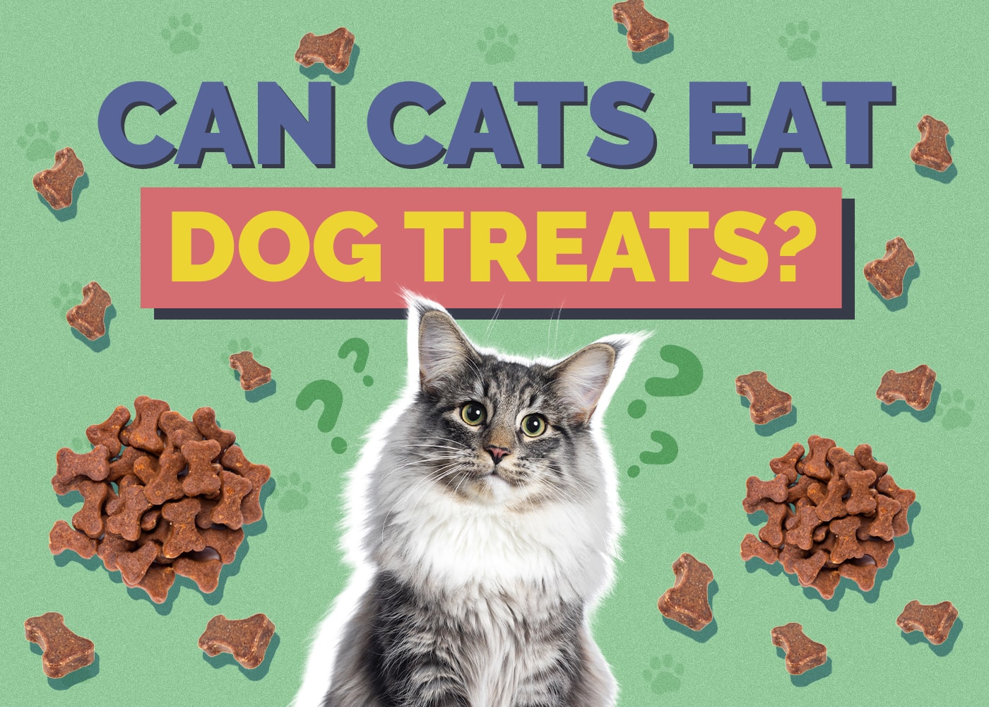 Can Cats Eat dog-treats