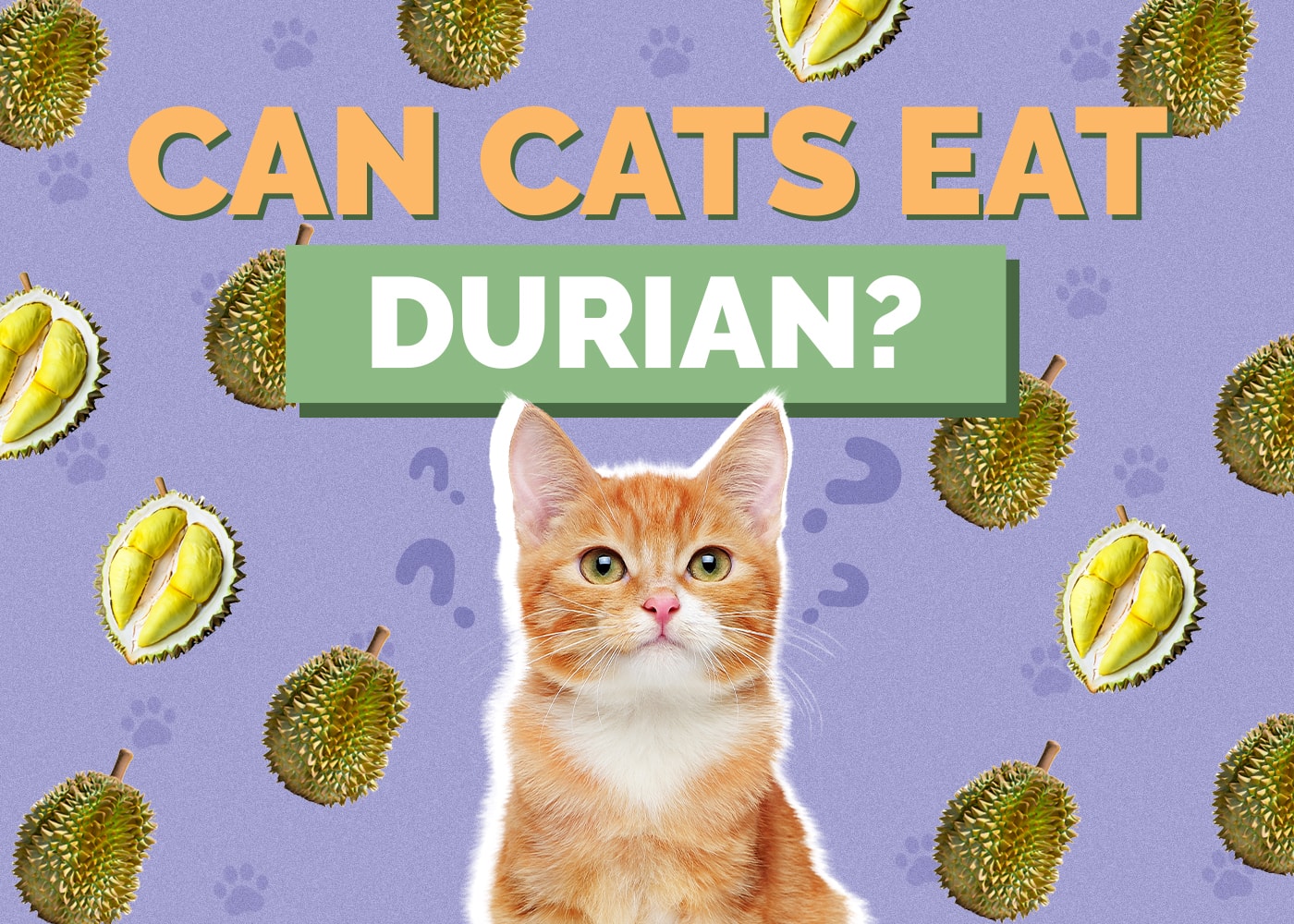 Can Cats Eat durian
