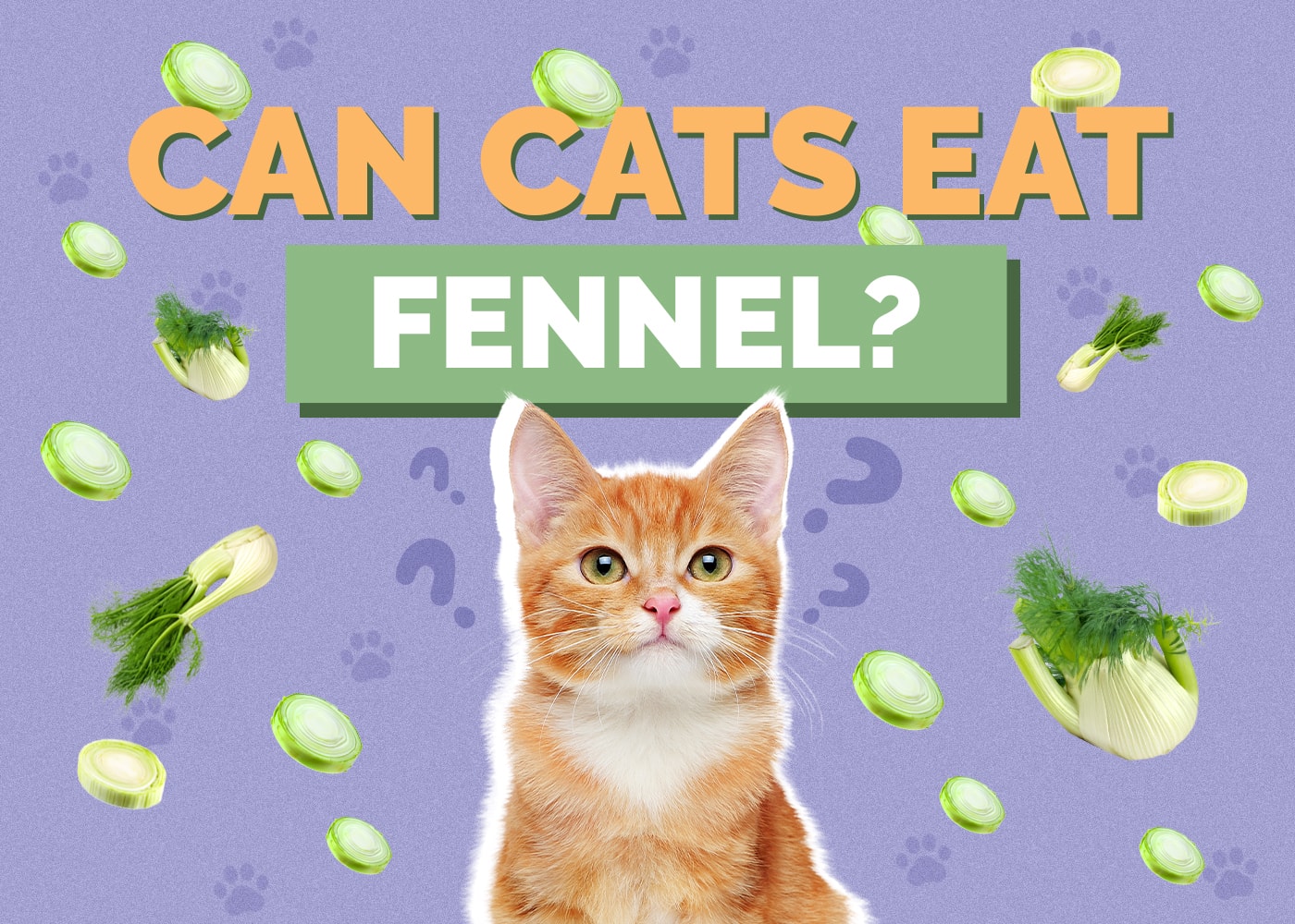Can Cats Eat fennel