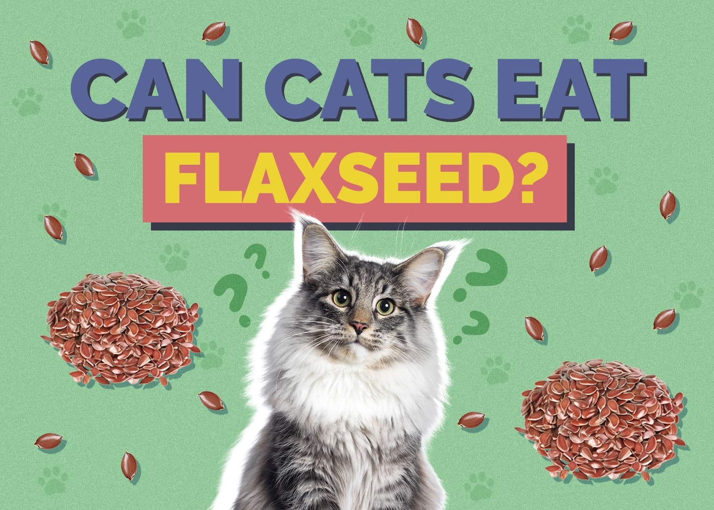 Can Cats Eat flaxseed