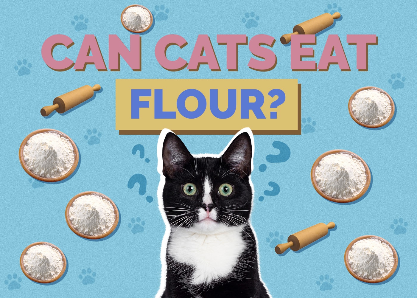 Can Cats Eat flour