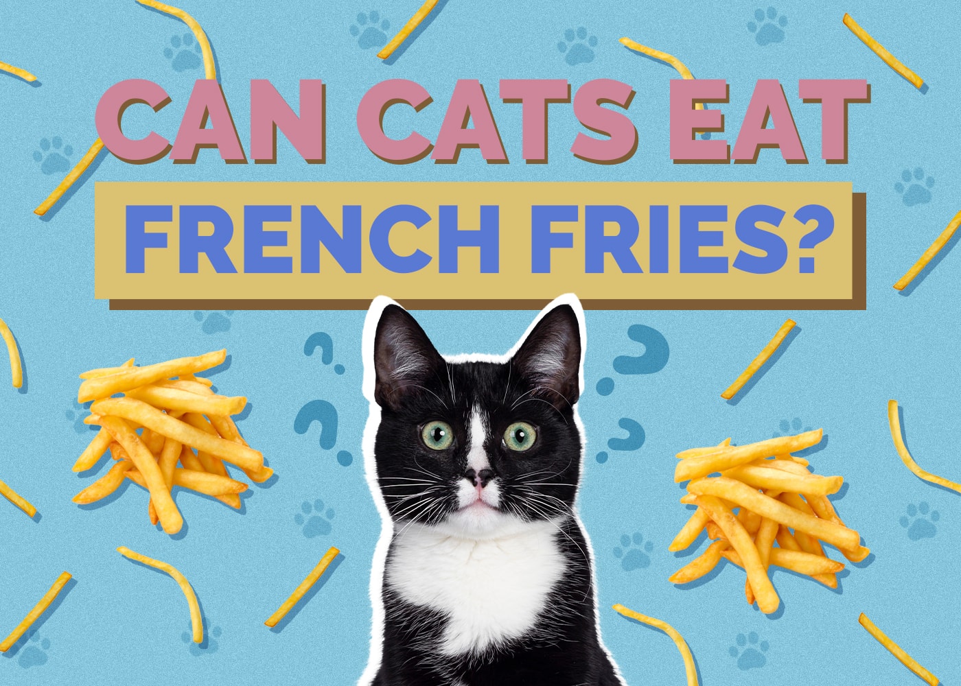 Can Cats Eat french-fries