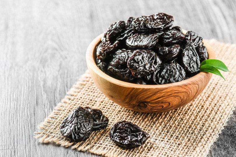 are prunes bad for dogs to eat