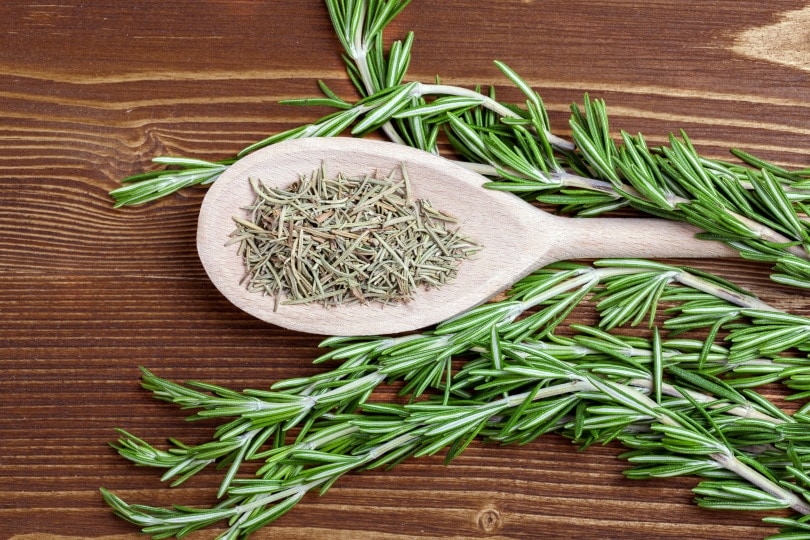 fresh rosemary