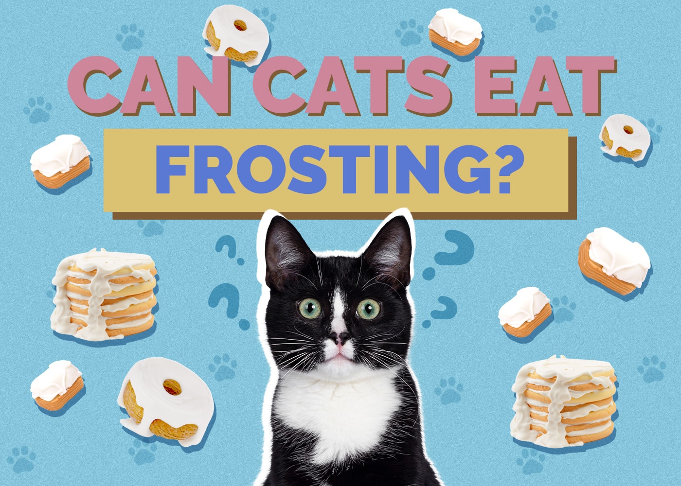 Can Cats Eat frosting