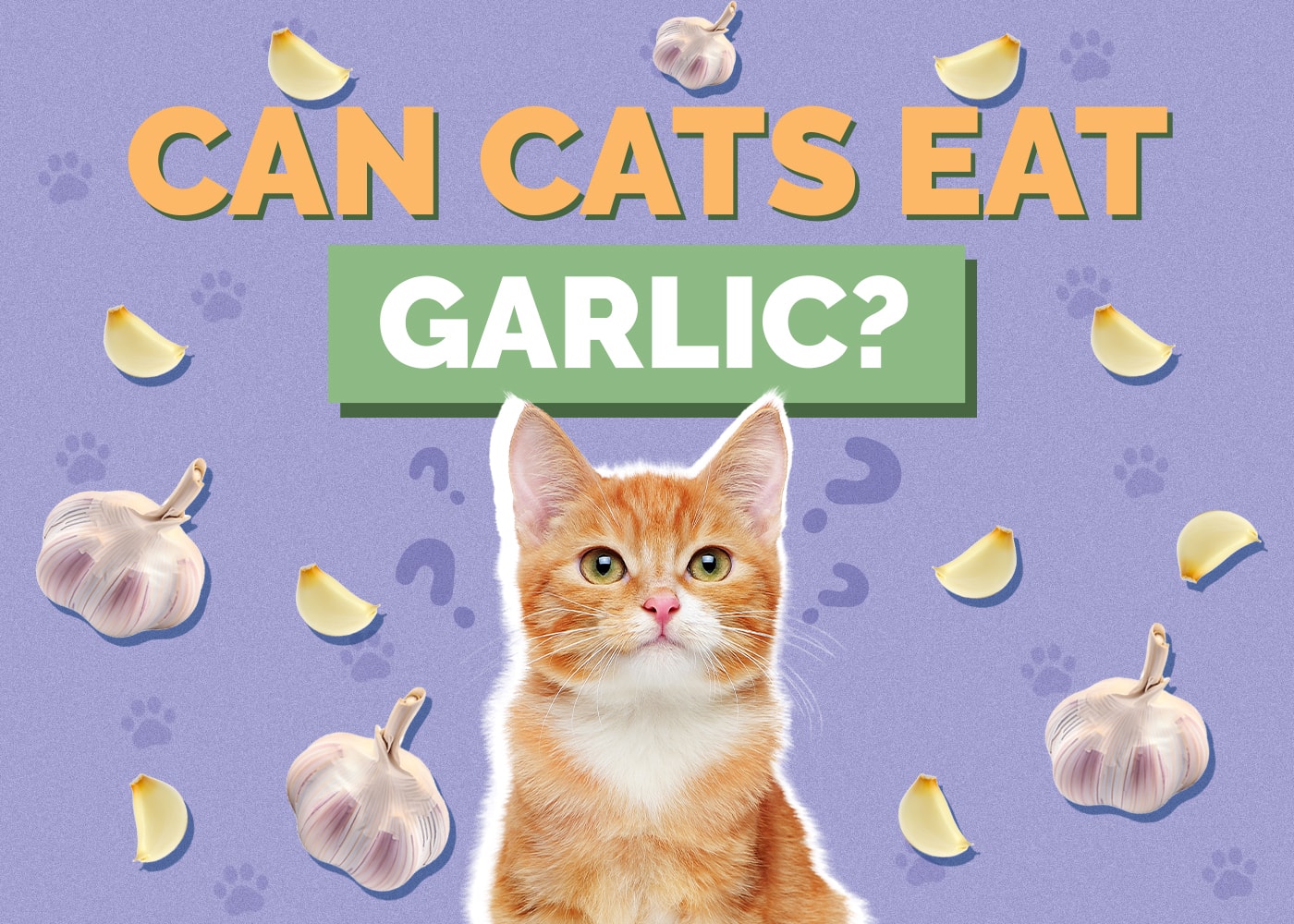 Can Cats Eat garlic