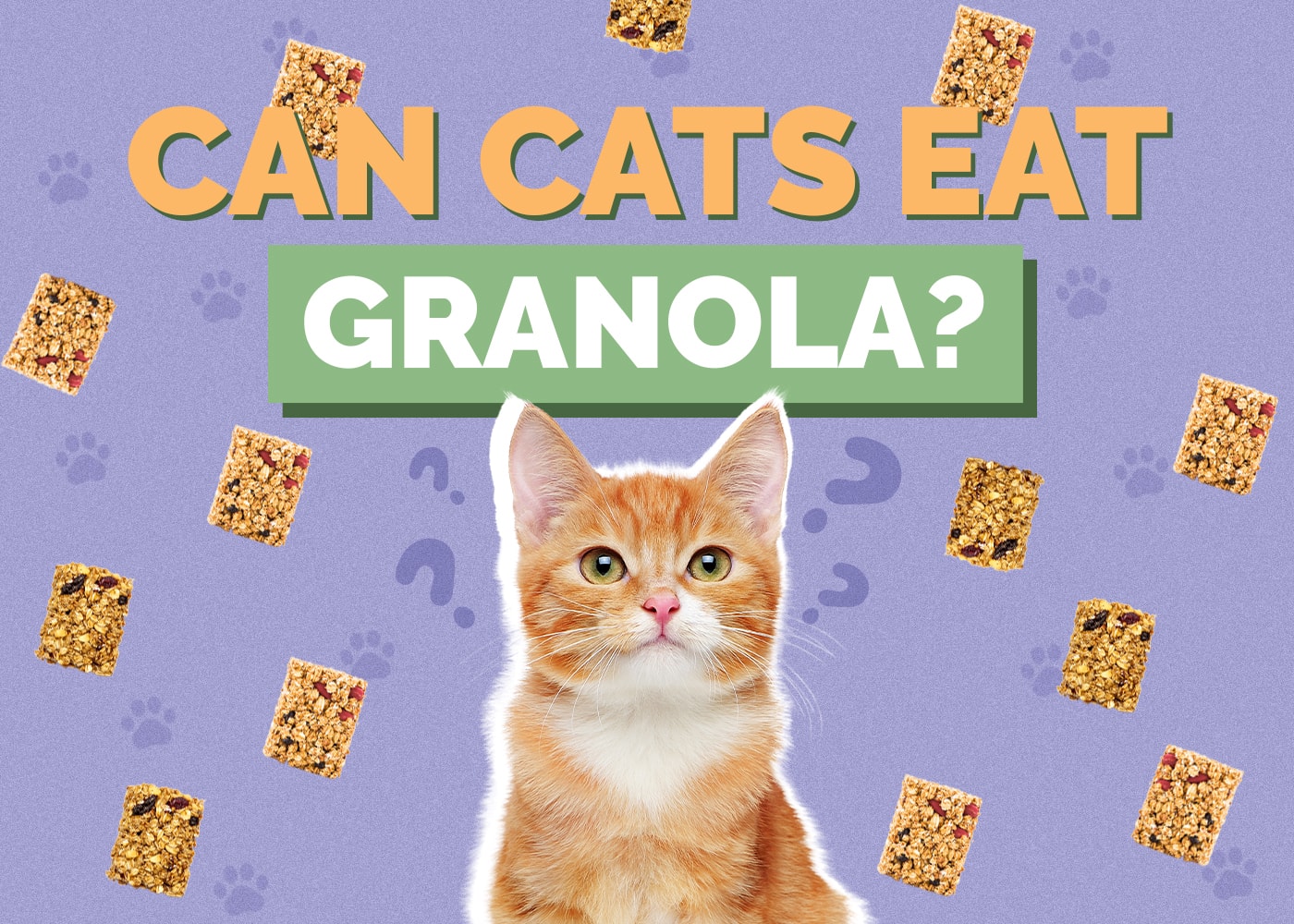 Can Cats Eat granola
