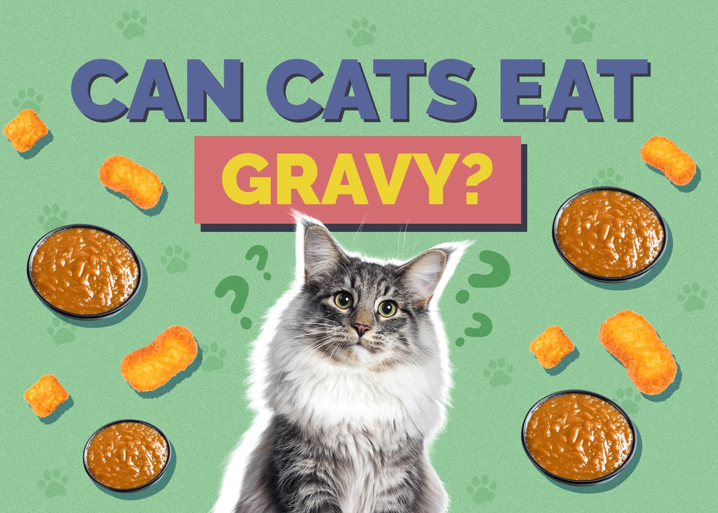Can Cats Eat Gravy Vet Reviewed Facts FAQ Hepper