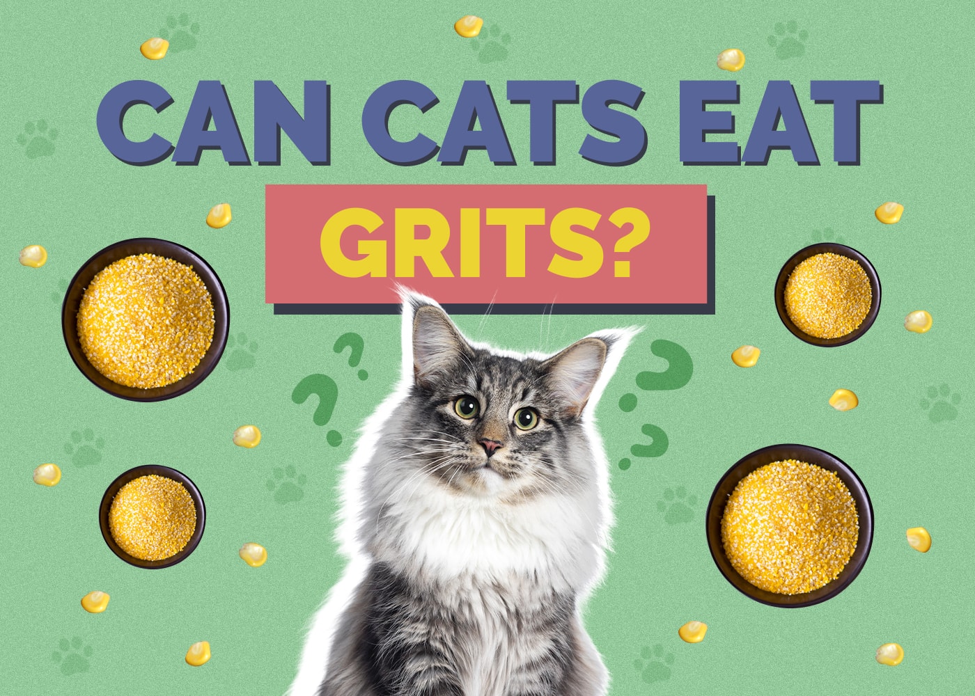 Can Cats Eat grits