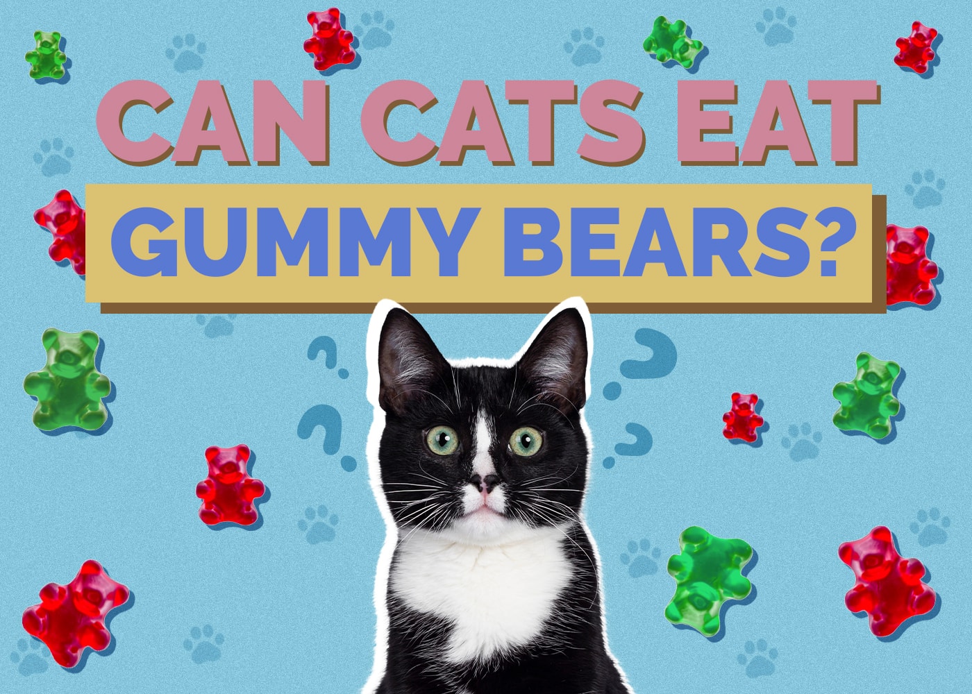 Can Cats Eat gummy-bears