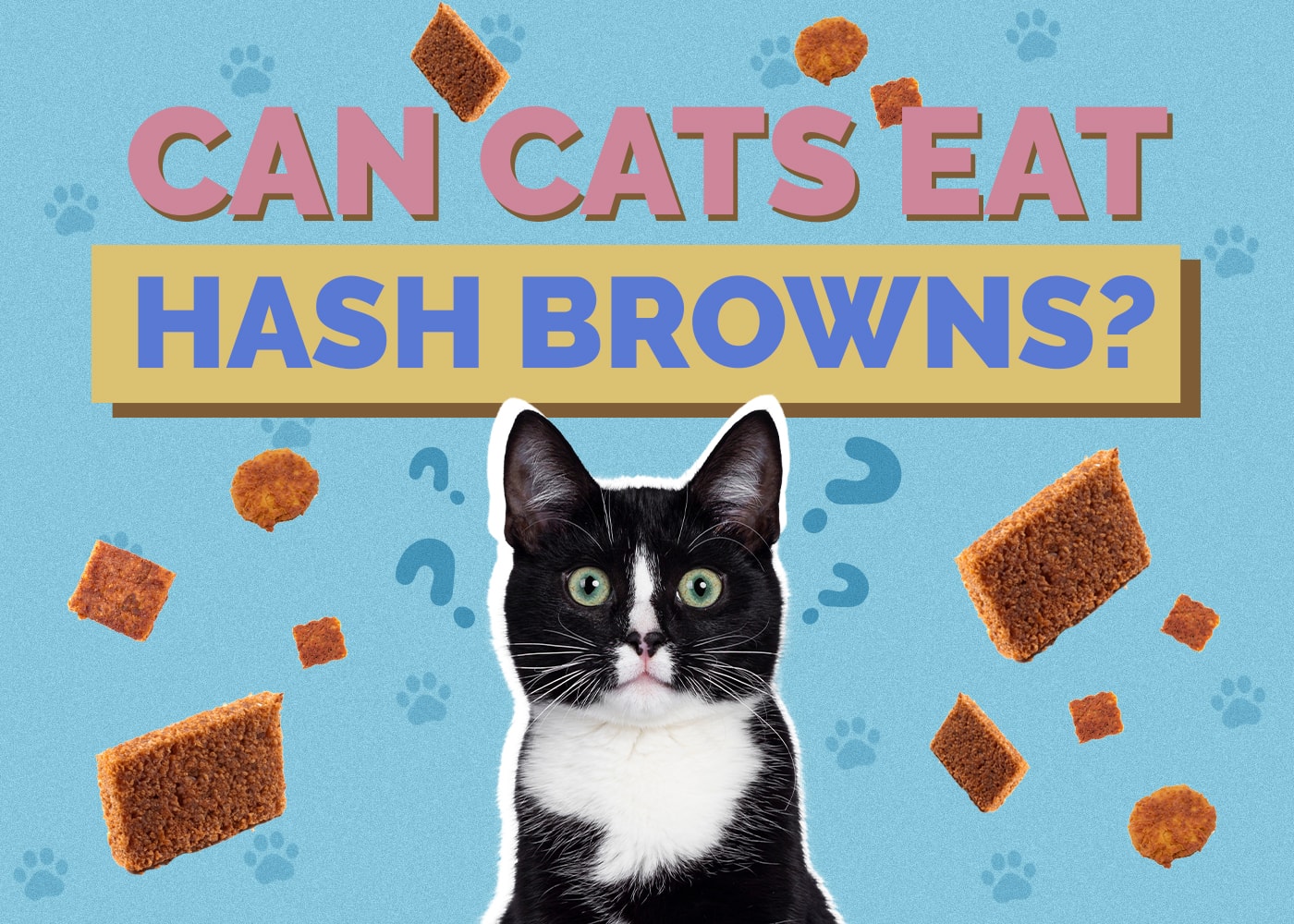 Can Cats Eat hashbrowns