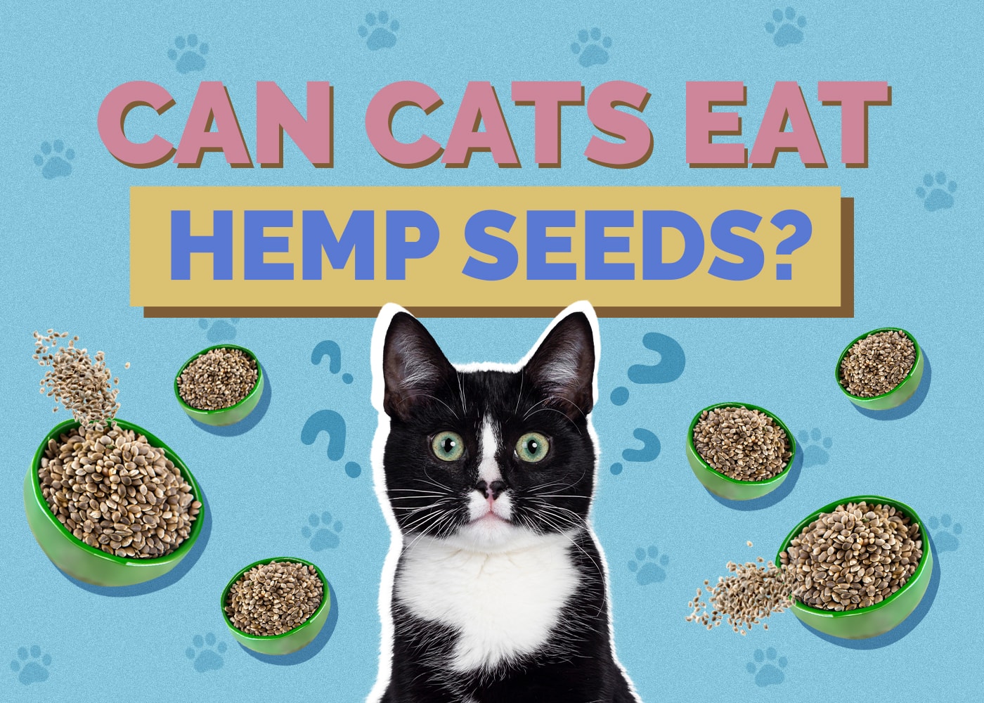 Can Cats Eat hemp-seeds