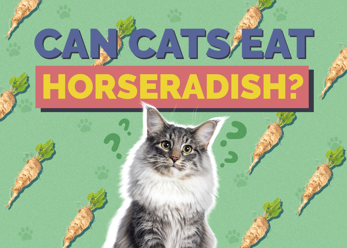 Can Cats Eat horseradish