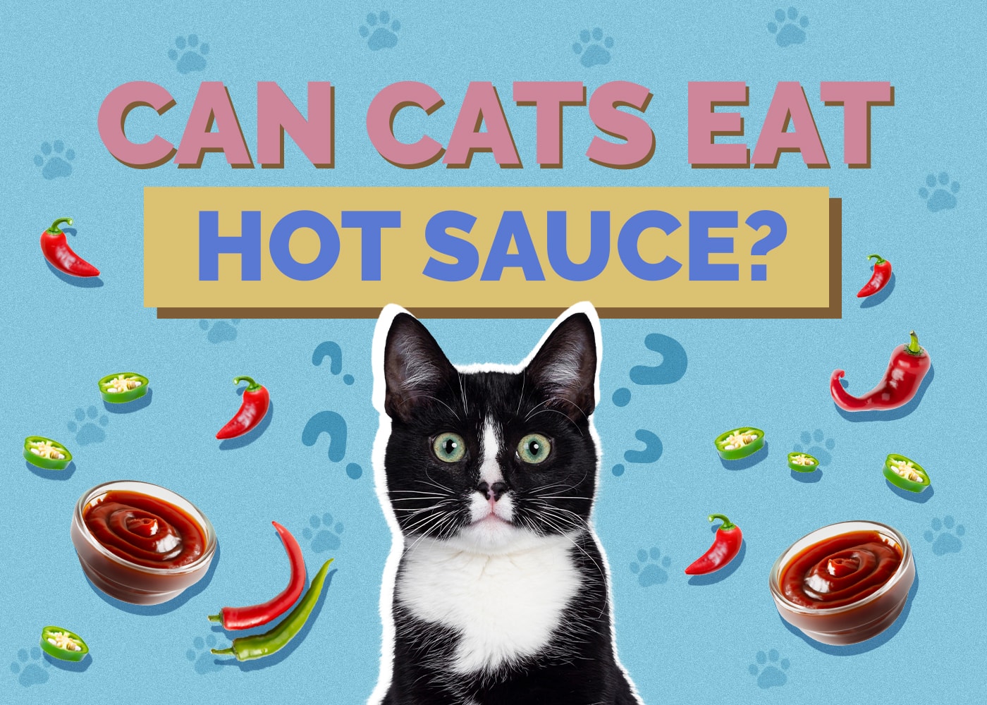 Can Cats Eat hot-sauce