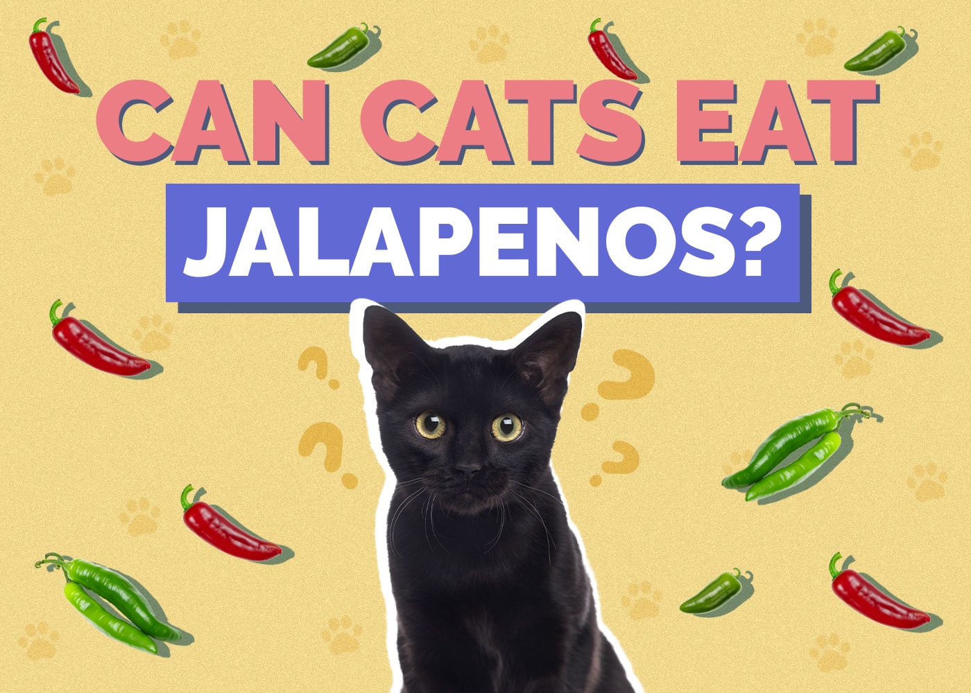 Can Cats Eat jalapenos