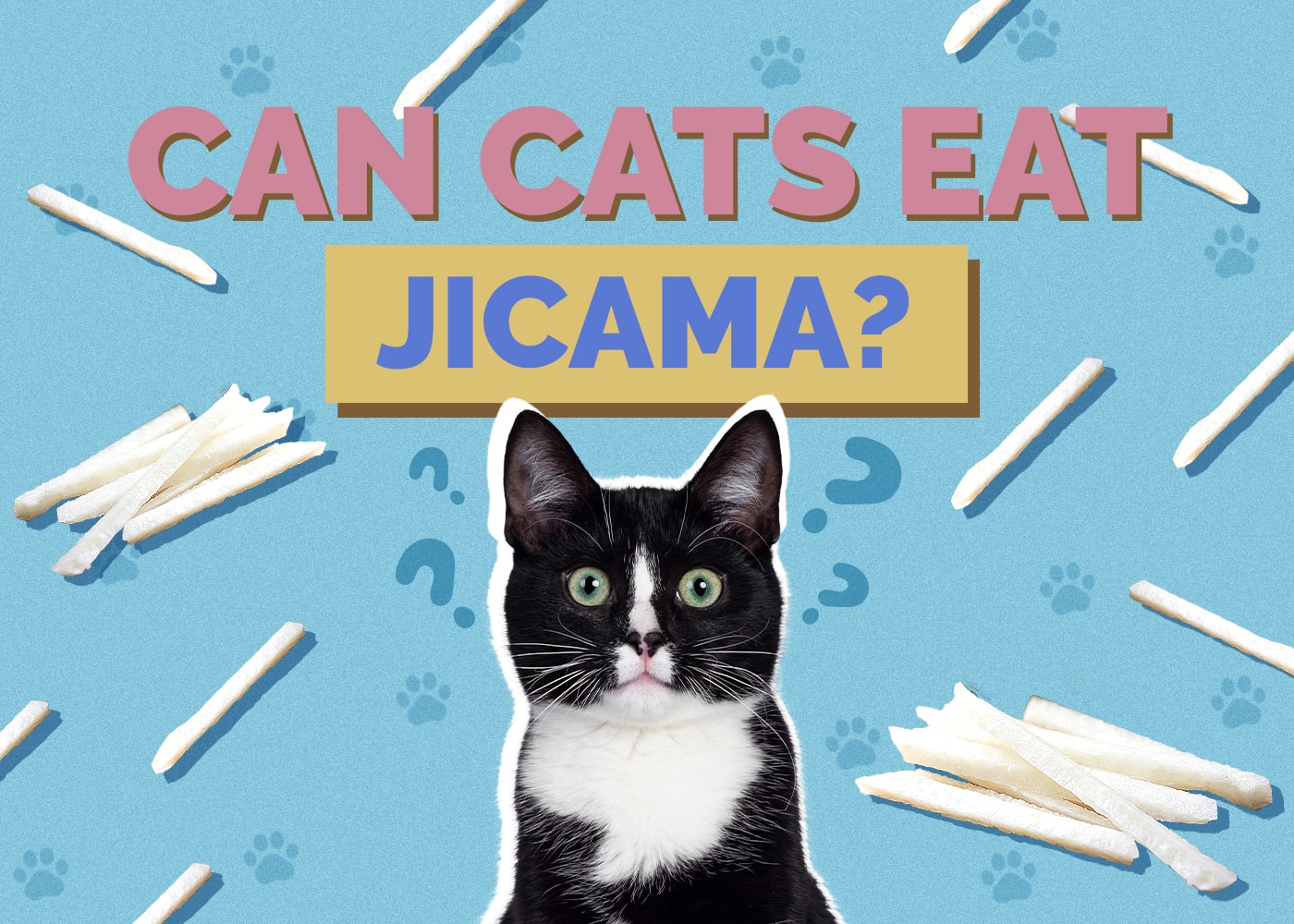 Can Cats Eat jicama