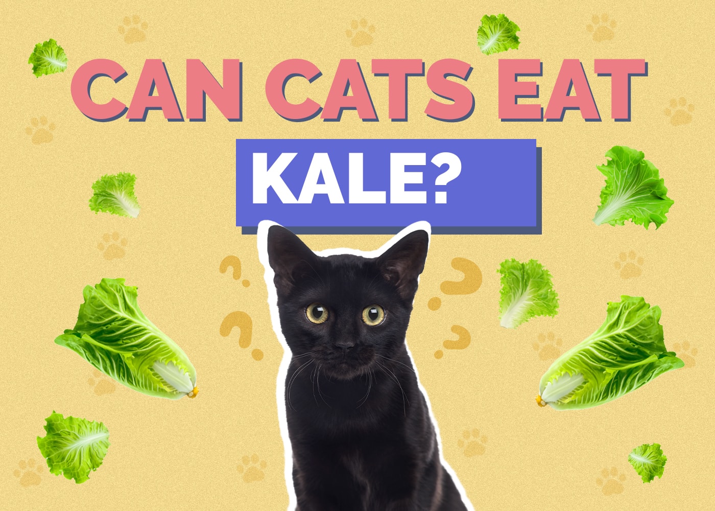 Can Cats Eat kale
