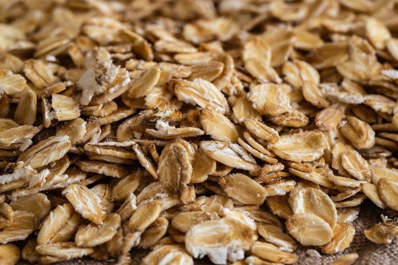 are rolled oats safe for dogs