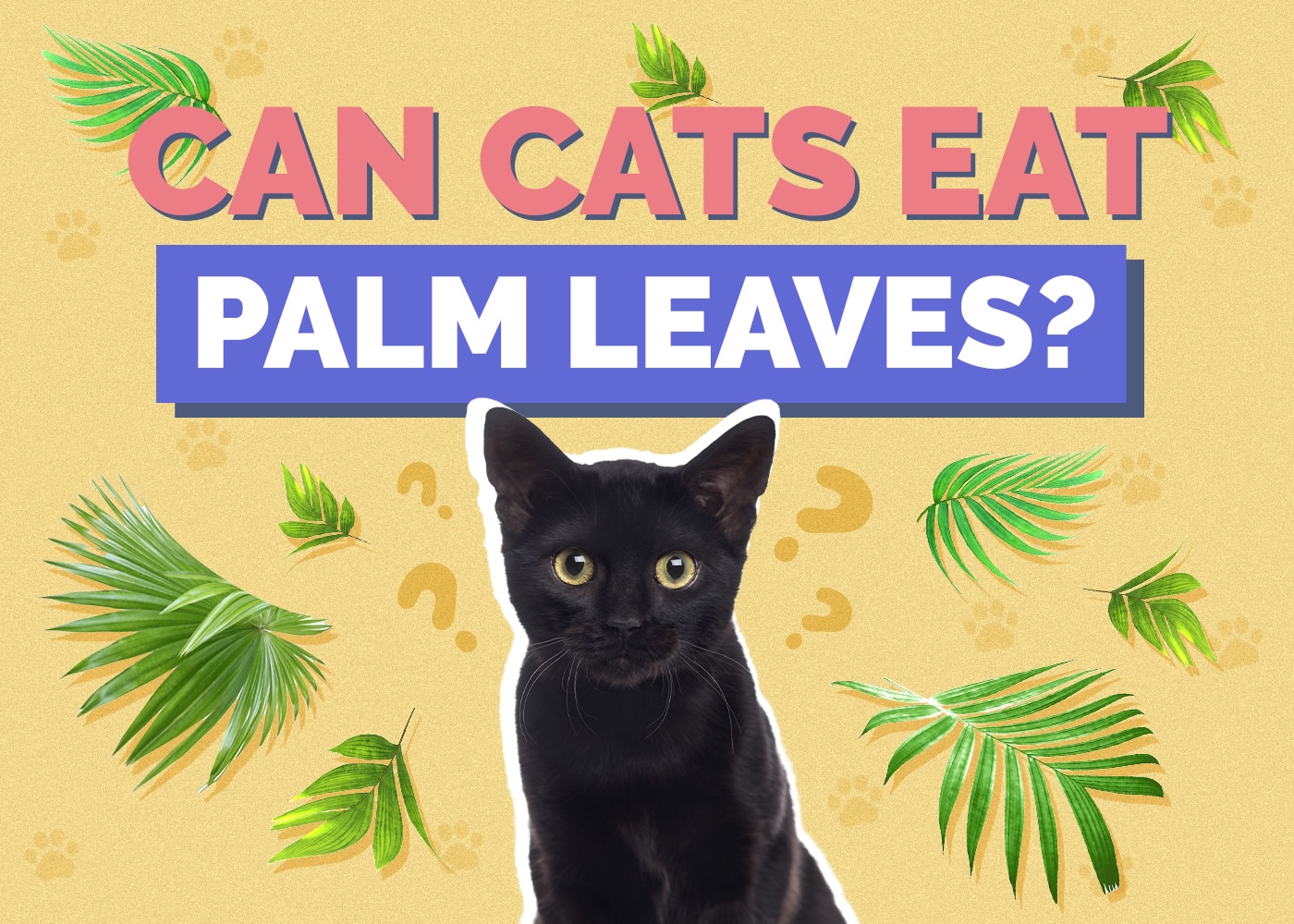 Can Cats Eat palm-leaves