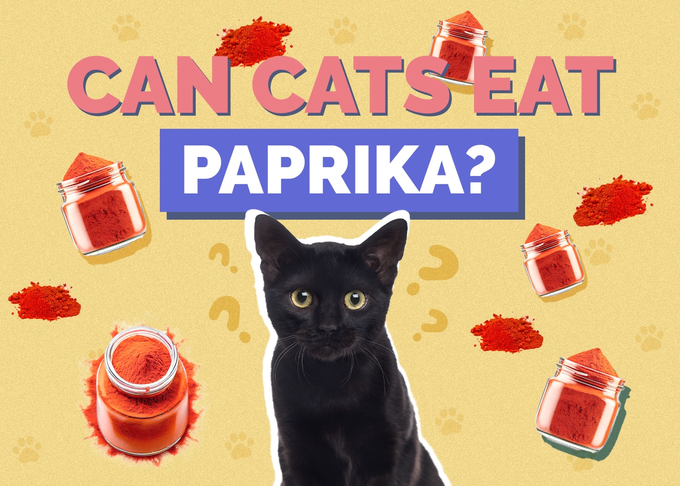 Can Cats Eat paprika