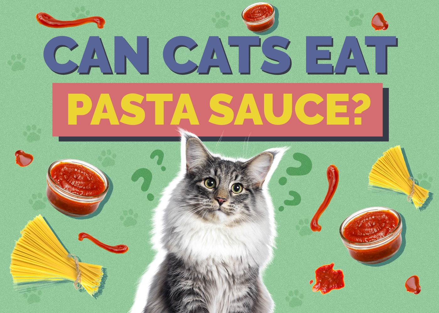 Can Cats Eat pasta-sauce