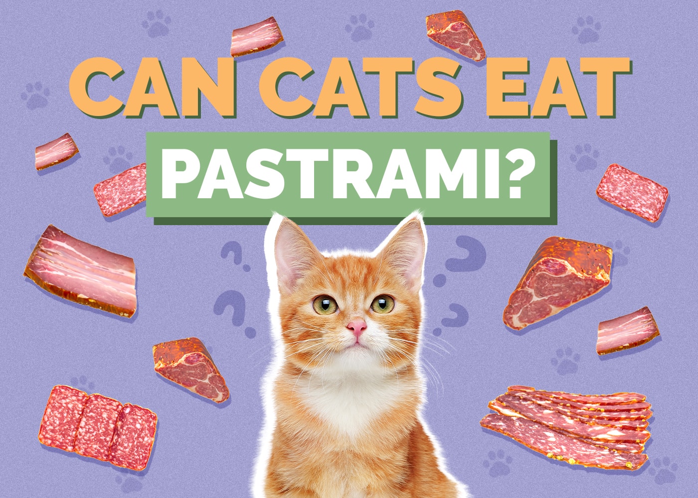 Can Cats Eat pastrami