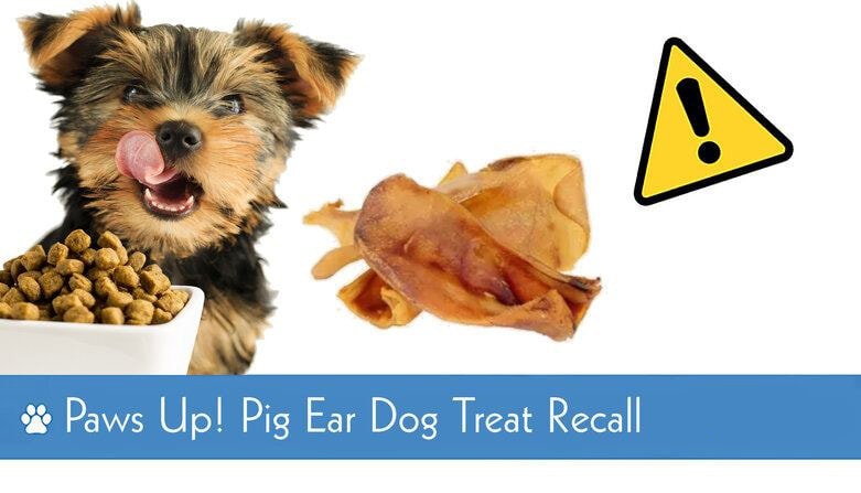 paws up dog food