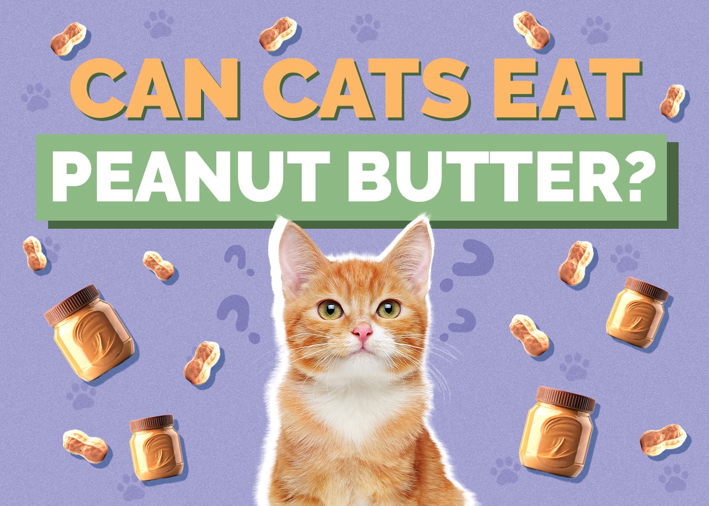 Can Cats Eat peanut-butter