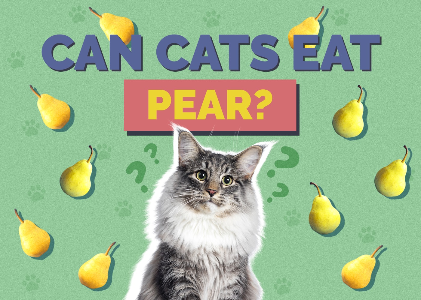 Can Cats Eat pear