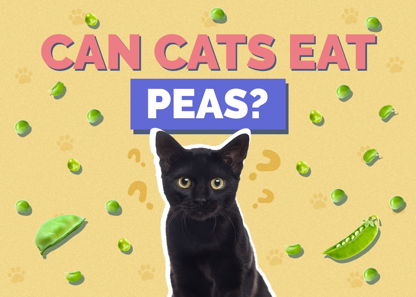 Can Cats Eat peas