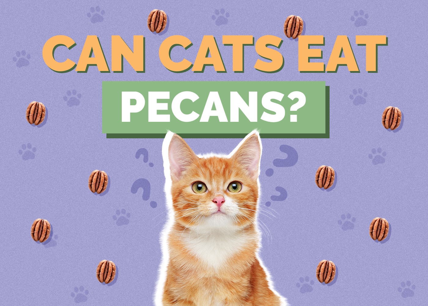 Can Cats Eat pecans