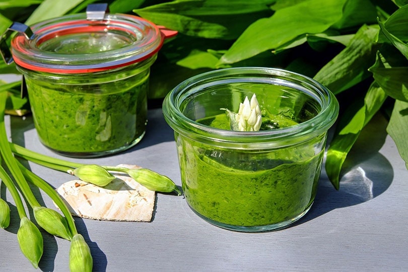 Zwei Einmachgläser mit grünem Pesto